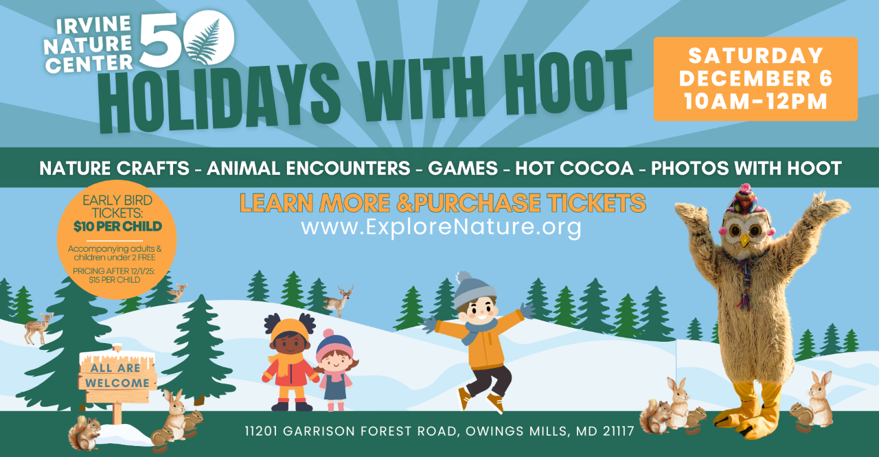 Holidays with Hoot
