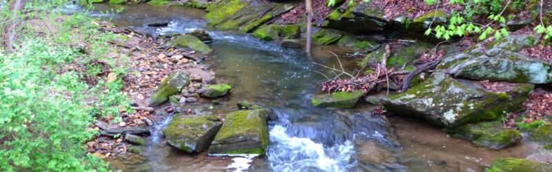 Preserving the Gunpowder River