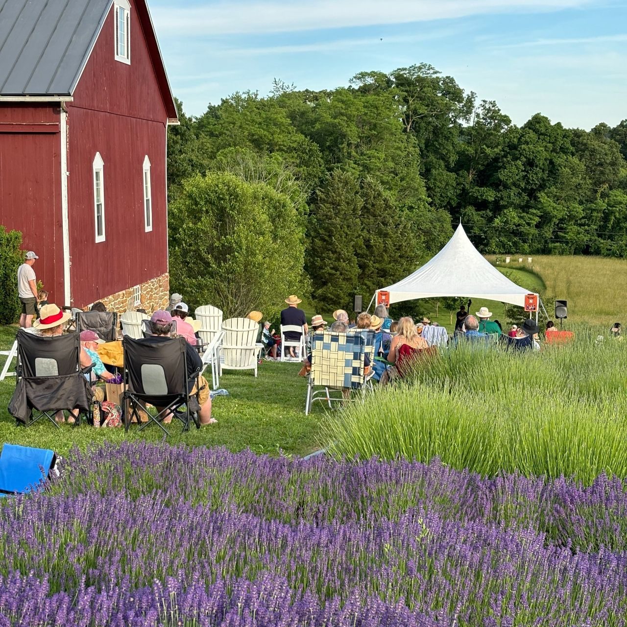 Gypsy Jazz Festival at Star Bright Farm