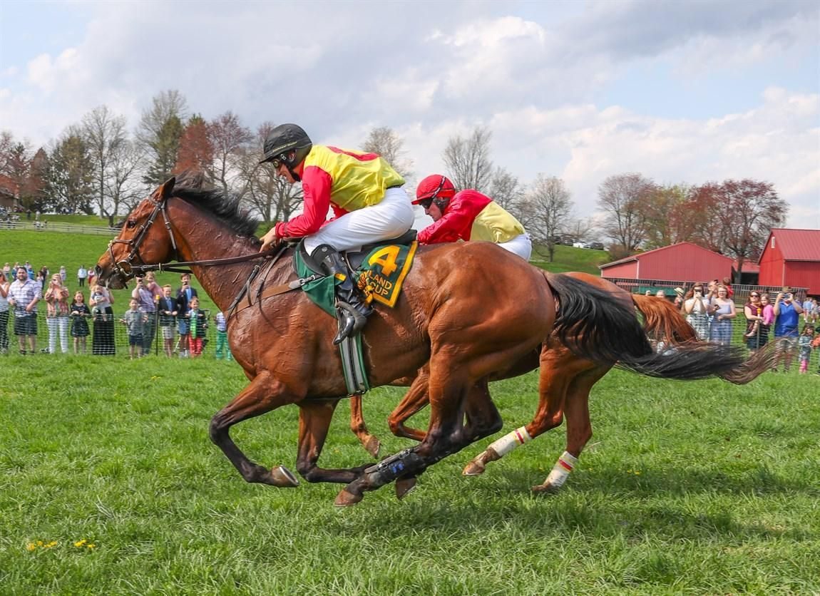 Maryland Hunt Cup
