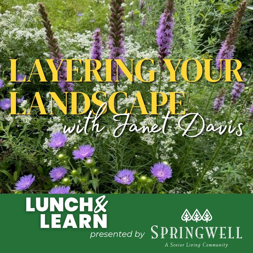 LUNCH & LEARN: Layering Your Landscape with Native Plants