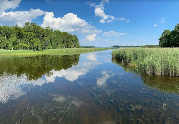 Sunday Paddle at Marshy Point Nature Center
