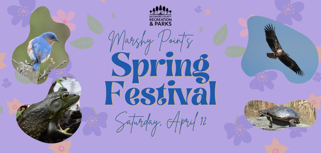 Spring Festival at Marshy Point Nature Center