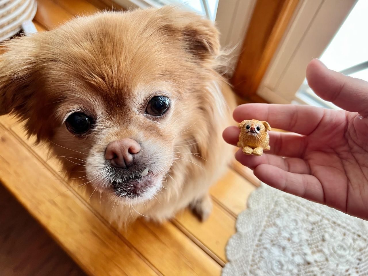 Sculpt-A-Pet Workshop with Clay by Hillary
