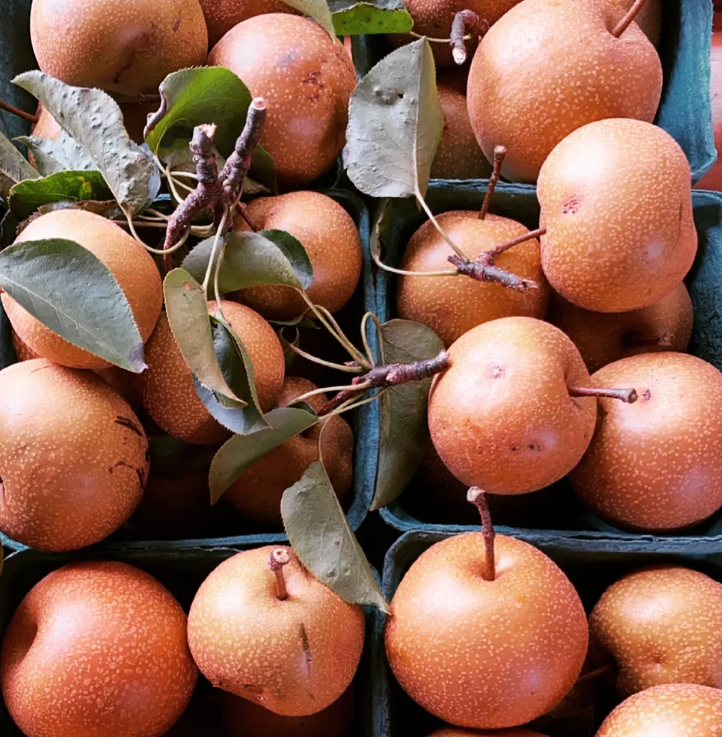 Close up image of apples in cartons with stems that still have leaves.