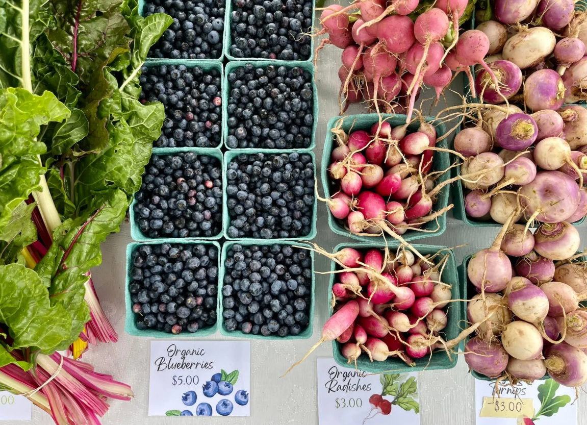 Top down view of organic blueberries, radishes and turnips in cartons on a table at the Reisterstown Farmers Market.