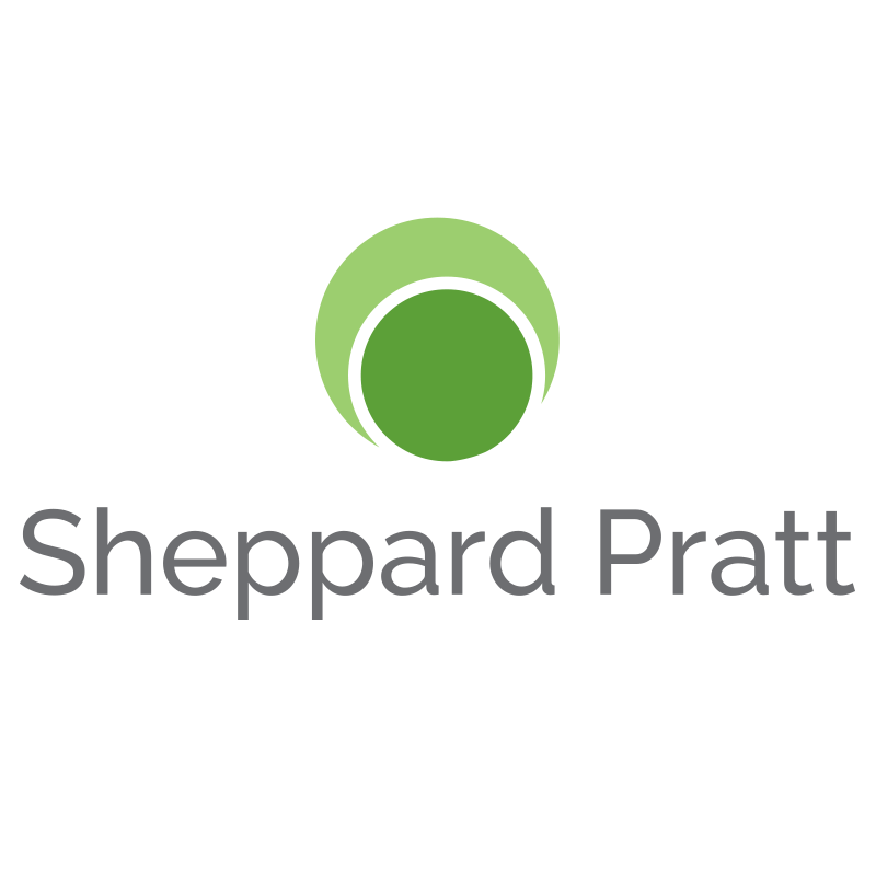 Robert W. & Diane E. Gibson Museum of Sheppard Pratt